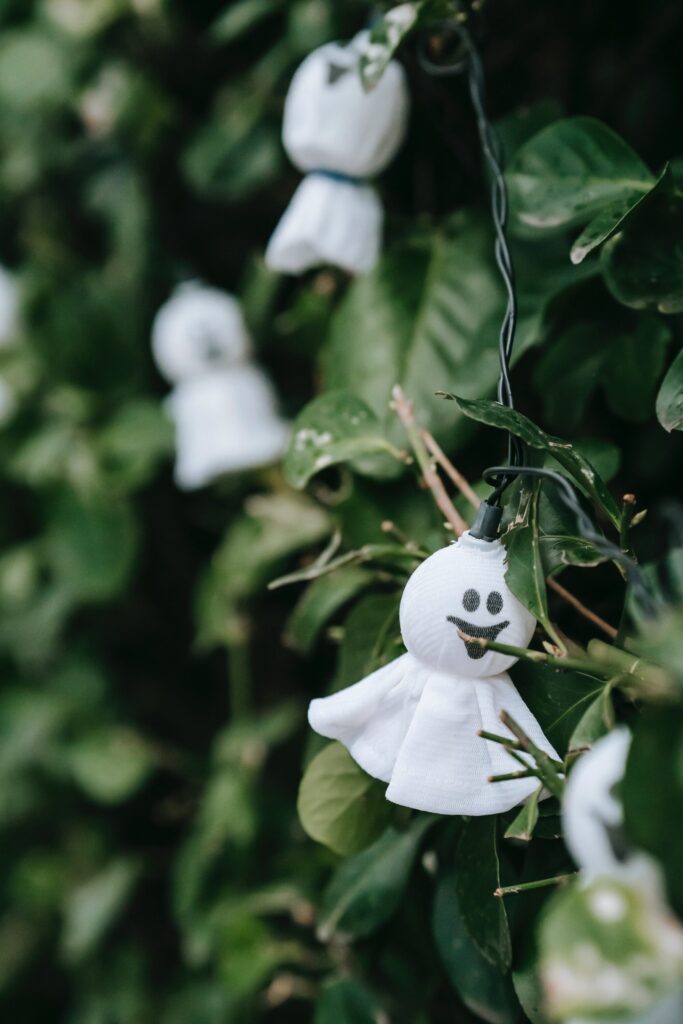 An image of Ghostly Christmas lights