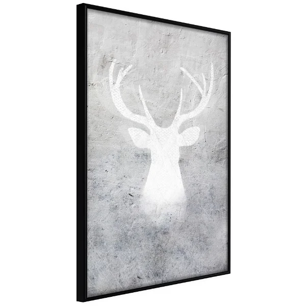 Poster 'White Shadow