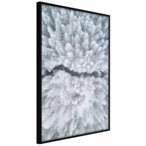 Poster 'Winter Forest From a Bird's Eye View'