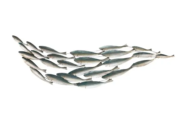 a metal wall art with a design of sea fishes